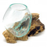2. Wahl, Wurzel mit Glas, Ø ca. 14-16 cm, Wurzel 15-20 cm lang, B-Ware