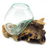 2. Wahl, Wurzel mit Glas, Ø ca. 14-16 cm, Wurzel 15-20 cm lang, B-Ware