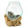 2. Wahl, Wurzel mit Glas, Ø ca. 14-16 cm, Wurzel 15-20 cm lang, B-Ware