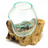 2. Wahl, Wurzel mit Glas, Ø ca. 14-16 cm, Wurzel 15-20 cm lang, B-Ware
