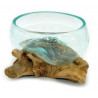 2. Wahl, Wurzel mit Glasschale, Ø ca. 11-12 cm, B-Ware