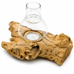 Windlicht Wurzel kleines Holzstück Teak hell