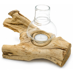 Windlicht Wurzel kleines Holzstück Teak hell